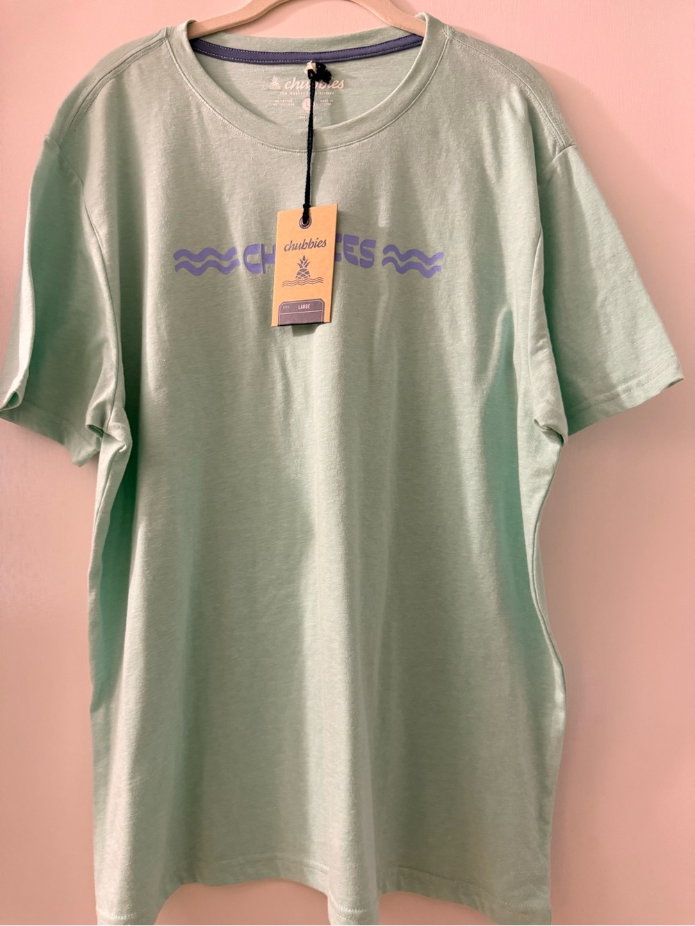 chubbies Mint Green Short Sleeve Tee with Lavender Graphic